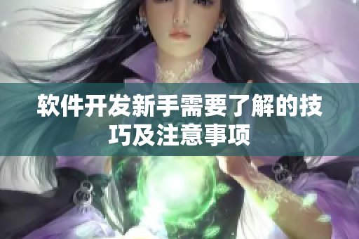 軟件開發(fā)新手需要了解的技巧及注意事項(xiàng)