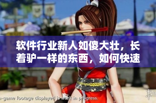 軟件行業(yè)新人如傻大壯，長著驢一樣的東西，如何快速提高技能？