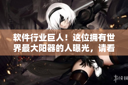軟件行業(yè)巨人！這位擁有世界最大陽器的人曝光，請看圖