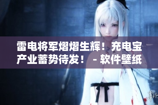 雷電將軍熠熠生輝！充電寶產(chǎn)業(yè)蓄勢(shì)待發(fā)！ - 軟件壁紙高清分享