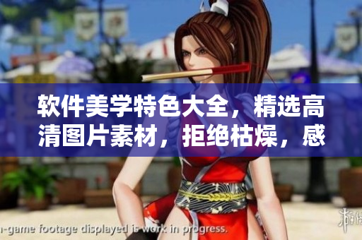軟件美學(xué)特色大全，精選高清圖片素材，拒絕枯燥，感受軟件之美