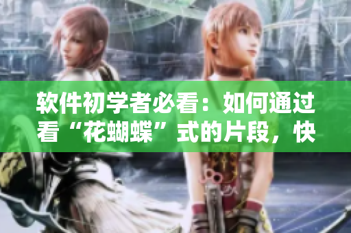 軟件初學(xué)者必看：如何通過看“花蝴蝶”式的片段，快速學(xué)習(xí)編程技能？