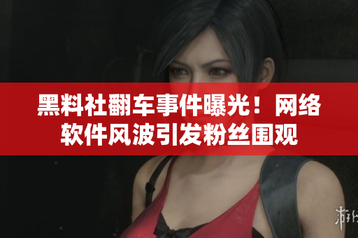 黑料社翻車事件曝光！網(wǎng)絡(luò)軟件風(fēng)波引發(fā)粉絲圍觀