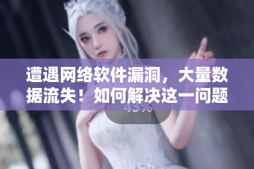 遭遇網(wǎng)絡(luò)軟件漏洞，大量數(shù)據(jù)流失！如何解決這一問題？