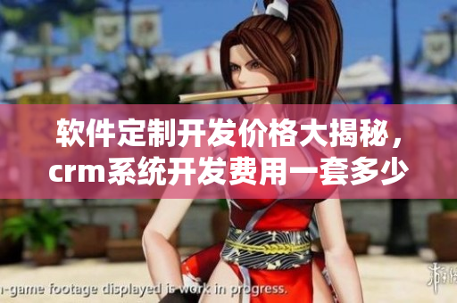 軟件定制開發(fā)價格大揭秘，crm系統(tǒng)開發(fā)費用一套多少錢？