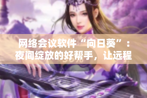 網(wǎng)絡(luò)會議軟件“向日葵”：夜間綻放的好幫手，讓遠程溝通更加高效！