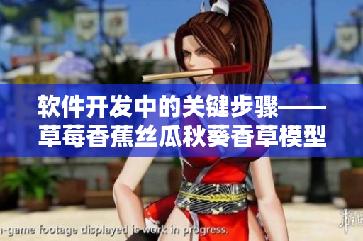 軟件開發(fā)中的關(guān)鍵步驟——草莓香蕉絲瓜秋葵香草模型詳解