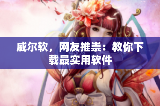 威爾軟，網(wǎng)友推崇：教你下載最實(shí)用軟件