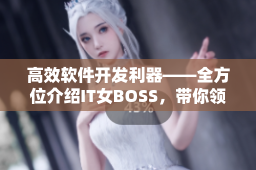 高效軟件開發(fā)利器——全方位介紹IT女BOSS，帶你領(lǐng)略軟件行業(yè)的魅力
