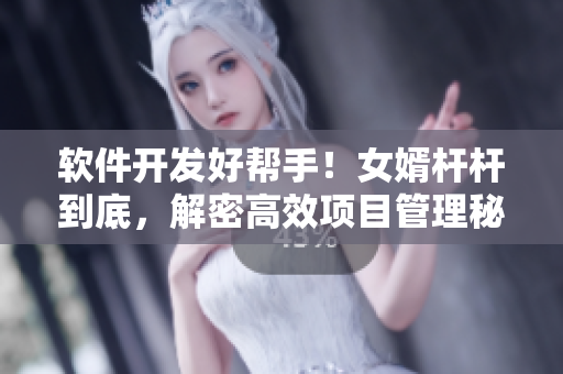 軟件開發(fā)好幫手！女婿桿桿到底，解密高效項目管理秘籍