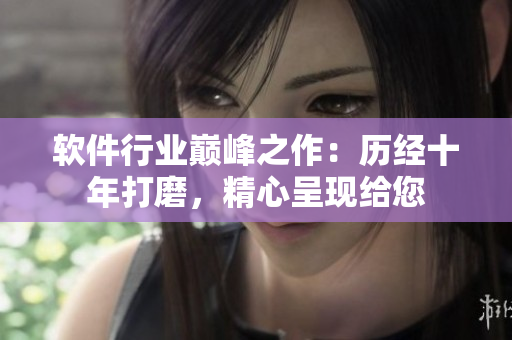 軟件行業(yè)巔峰之作：歷經(jīng)十年打磨，精心呈現(xiàn)給您
