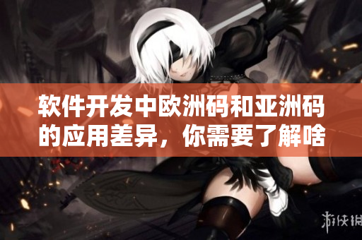 軟件開發(fā)中歐洲碼和亞洲碼的應用差異，你需要了解啥？