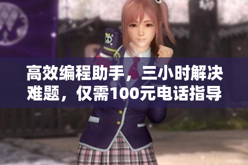 高效編程助手，三小時(shí)解決難題，僅需100元電話指導(dǎo)服務(wù)