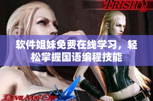 軟件姐妹免費(fèi)在線學(xué)習(xí)，輕松掌握國(guó)語(yǔ)編程技能