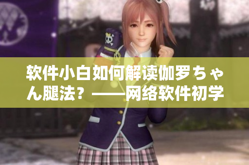 軟件小白如何解讀伽羅ちゃん腿法？——網(wǎng)絡(luò)軟件初學(xué)者的必備指南