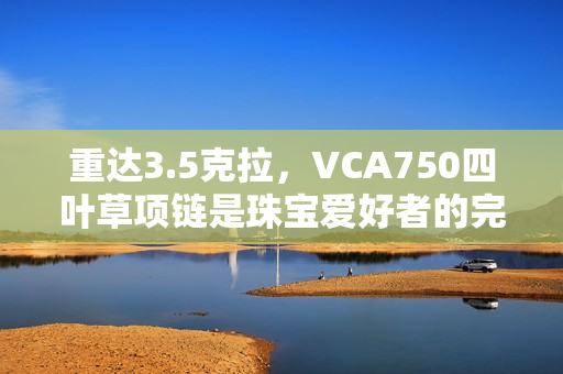 重達(dá)3.5克拉，VCA750四葉草項(xiàng)鏈?zhǔn)侵閷殣酆谜叩耐昝肋x擇