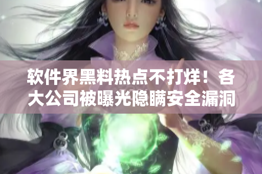 軟件界黑料熱點不打烊！各大公司被曝光隱瞞安全漏洞！