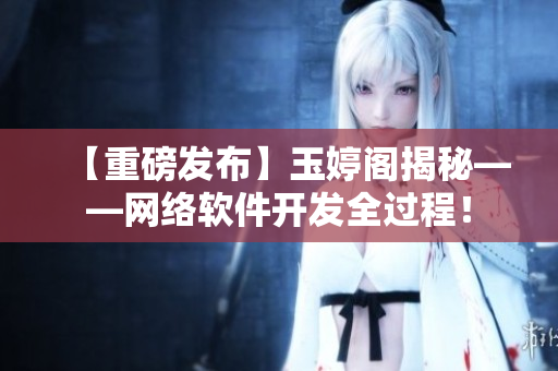 【重磅發(fā)布】玉婷閣揭秘——網(wǎng)絡(luò)軟件開發(fā)全過程！