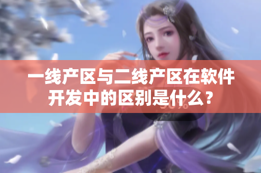 一線產(chǎn)區(qū)與二線產(chǎn)區(qū)在軟件開發(fā)中的區(qū)別是什么？