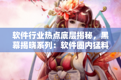 軟件行業(yè)熱點(diǎn)底層揭秘，黑幕揭曉系列：軟件圈內(nèi)猛料不息