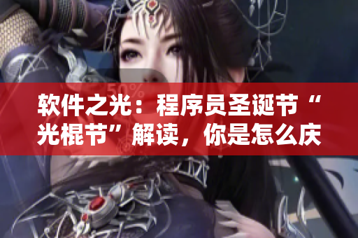 軟件之光：程序員圣誕節(jié)“光棍節(jié)”解讀，你是怎么慶祝的？