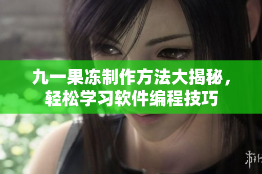 九一果凍制作方法大揭秘，輕松學習軟件編程技巧
