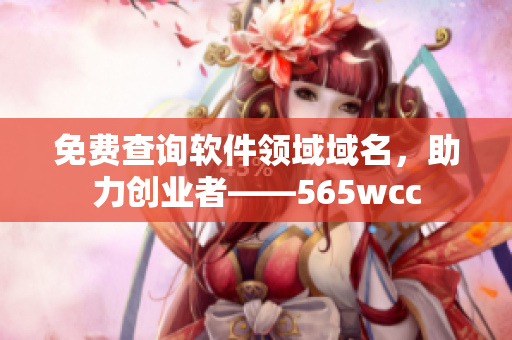 免費查詢軟件領(lǐng)域域名，助力創(chuàng)業(yè)者——565wcc