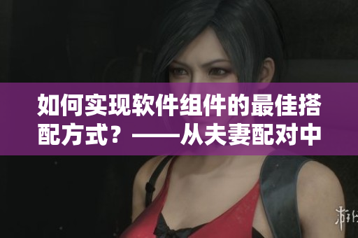 如何實(shí)現(xiàn)軟件組件的最佳搭配方式？——從夫妻配對(duì)中探索靈感
