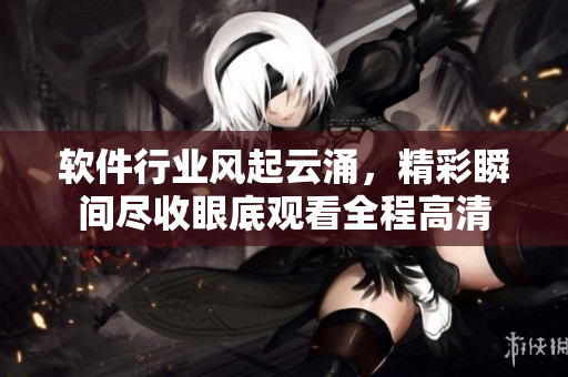 軟件行業(yè)風(fēng)起云涌，精彩瞬間盡收眼底觀看全程高清