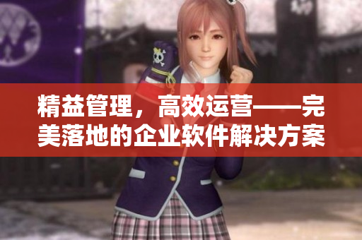 精益管理，高效運營——完美落地的企業(yè)軟件解決方案