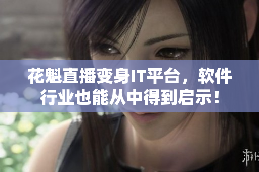 花魁直播變身IT平臺，軟件行業(yè)也能從中得到啟示！