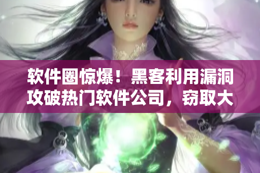 軟件圈驚爆！黑客利用漏洞攻破熱門軟件公司，竊取大量用戶信息！