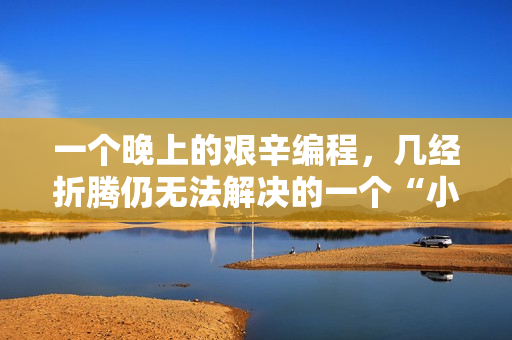 一個晚上的艱辛編程，幾經(jīng)折騰仍無法解決的一個“小問題”！