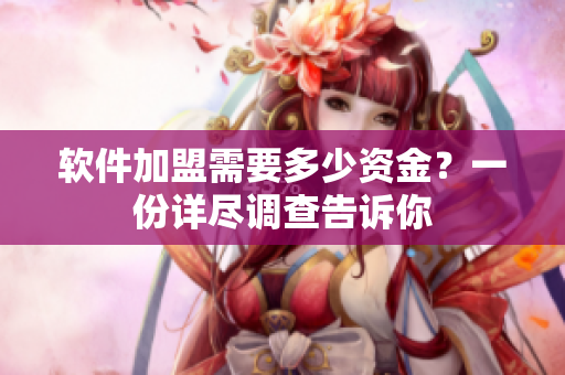 軟件加盟需要多少資金？一份詳盡調(diào)查告訴你