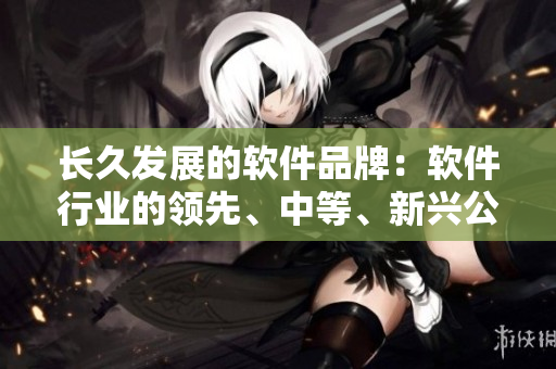 長(zhǎng)久發(fā)展的軟件品牌：軟件行業(yè)的領(lǐng)先、中等、新興公司