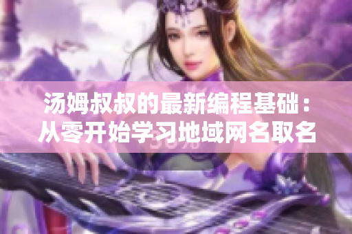 湯姆叔叔的最新編程基礎(chǔ)：從零開始學習地域網(wǎng)名取名技巧