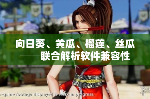 向日葵、黃瓜、榴蓮、絲瓜──聯(lián)合解析軟件兼容性