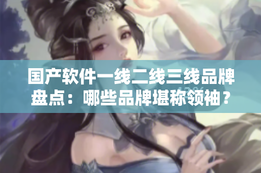 國(guó)產(chǎn)軟件一線二線三線品牌盤點(diǎn)：哪些品牌堪稱領(lǐng)袖？