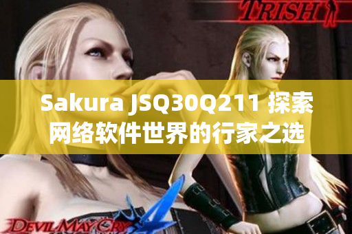 Sakura JSQ30Q211 探索網(wǎng)絡軟件世界的行家之選