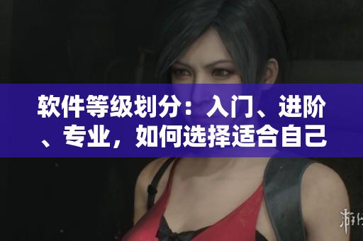軟件等級劃分：入門、進階、專業(yè)，如何選擇適合自己的軟件？
