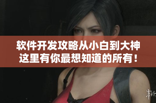 軟件開發(fā)攻略從小白到大神這里有你最想知道的所有！