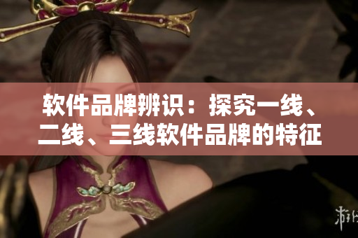 軟件品牌辨識：探究一線、二線、三線軟件品牌的特征與差異