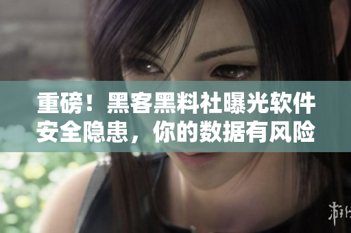 重磅！黑客黑料社曝光軟件安全隱患，你的數(shù)據(jù)有風險！