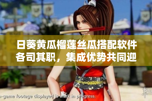 日葵黃瓜榴蓮絲瓜搭配軟件各司其職，集成優(yōu)勢(shì)共同迎接挑戰(zhàn)