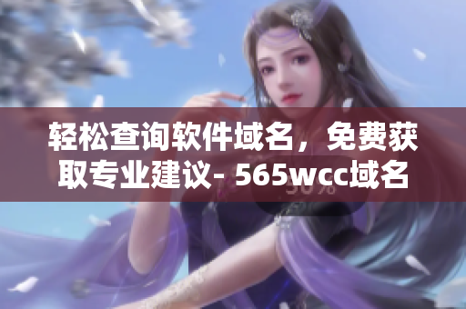 輕松查詢軟件域名，免費(fèi)獲取專業(yè)建議- 565wcc域名查詢