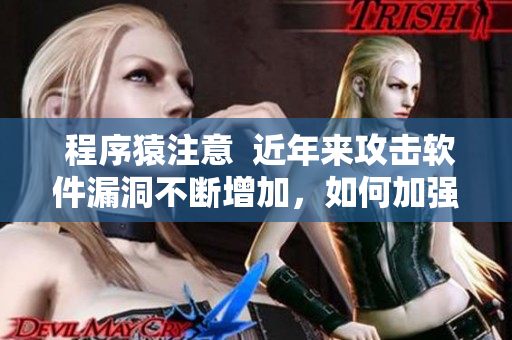  程序猿注意  近年來攻擊軟件漏洞不斷增加，如何加強軟件安全？