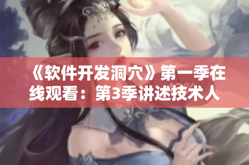 《軟件開發(fā)洞穴》第一季在線觀看：第3季講述技術人員的困境與突破