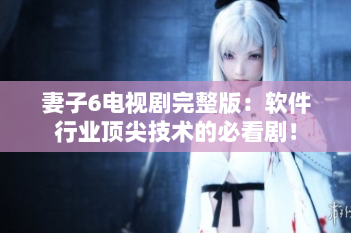 妻子6電視劇完整版：軟件行業(yè)頂尖技術(shù)的必看劇！