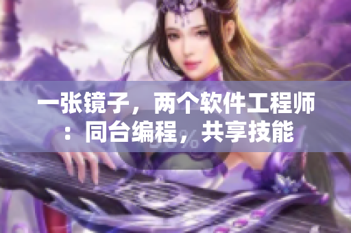 一張鏡子，兩個(gè)軟件工程師：同臺(tái)編程，共享技能