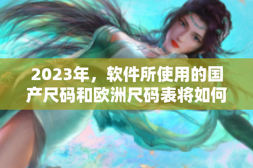 2023年，軟件所使用的國產(chǎn)尺碼和歐洲尺碼表將如何影響用戶體驗？